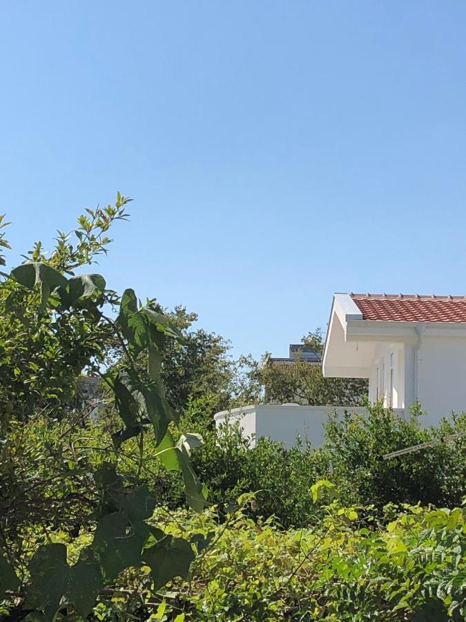 Villa Dafina Donji Stoj Esterno foto